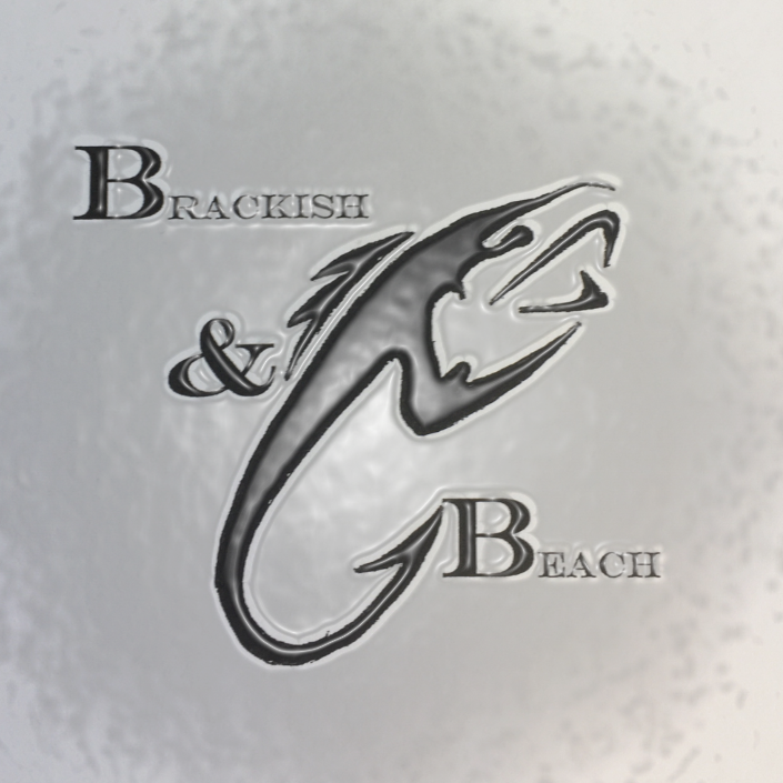 Brackish Beach
