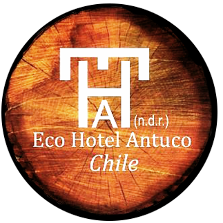 Eco Hotel Antuco Antuco Chile