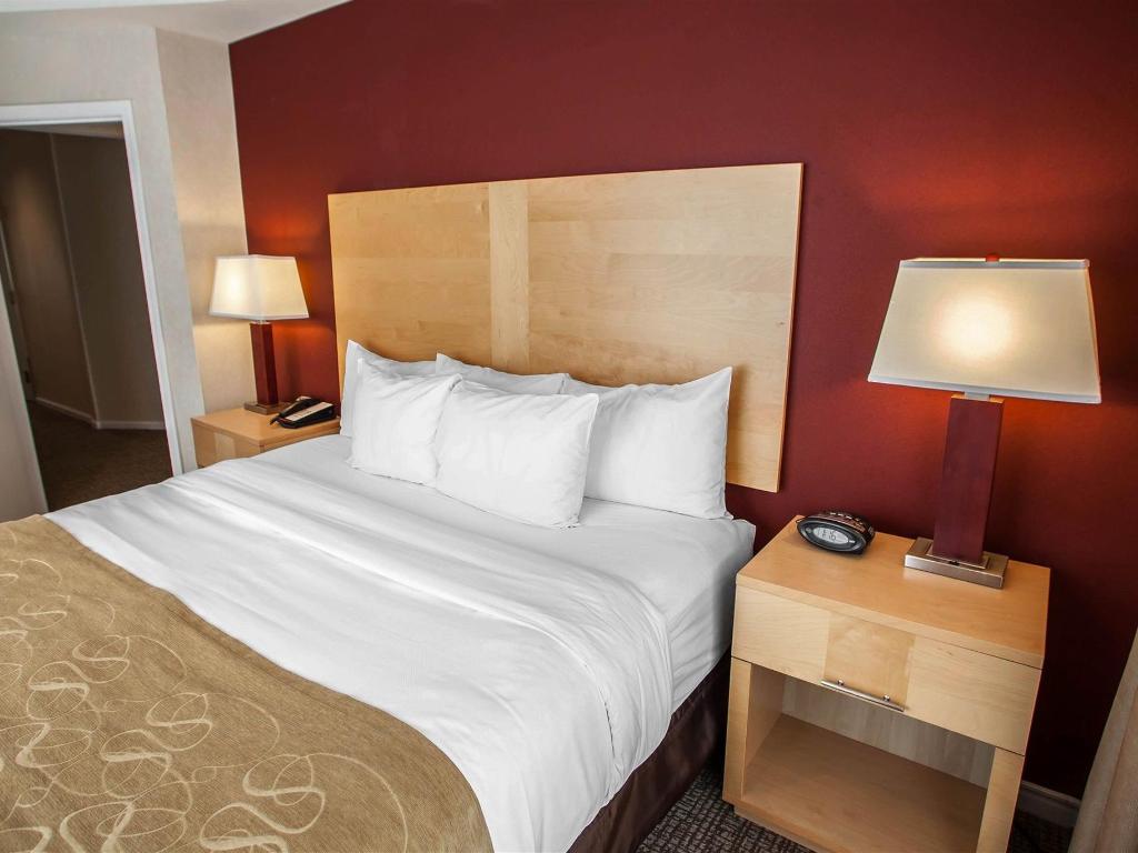 Comfort Suites Michigan Avenue Official Site Hotels In Chicago