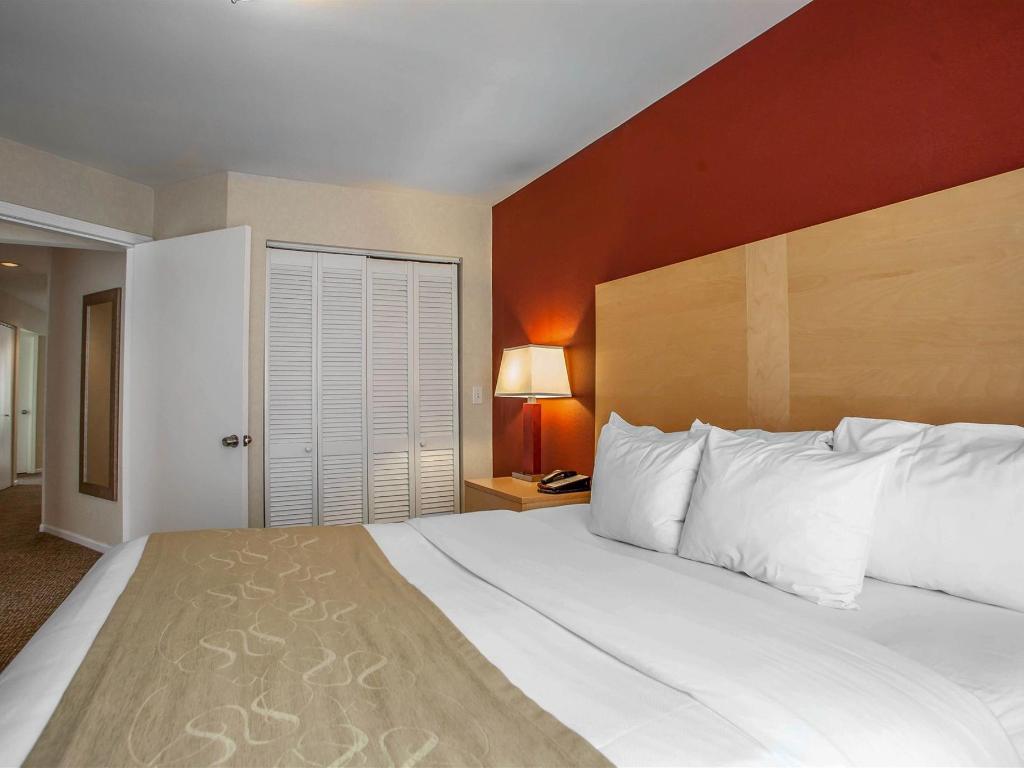 Comfort Suites Michigan Avenue Official Site Hotels In Chicago