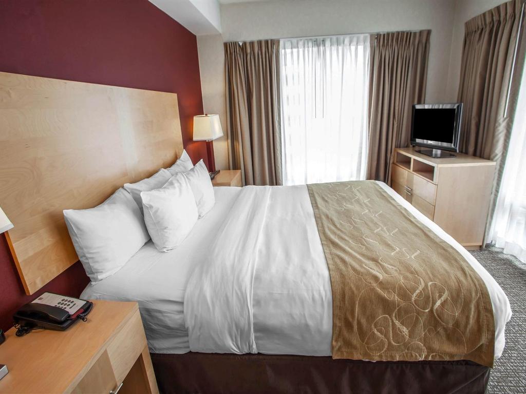 Comfort Suites Michigan Avenue Official Site Hotels In Chicago