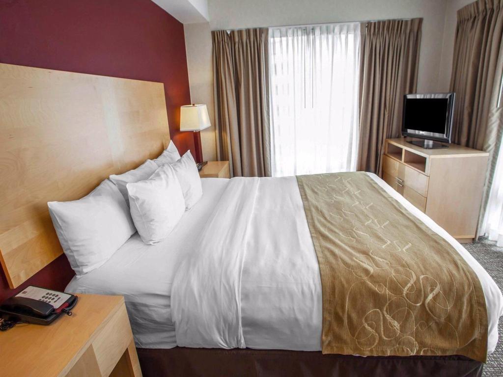 Comfort Suites Michigan Avenue Official Site Hotels In Chicago