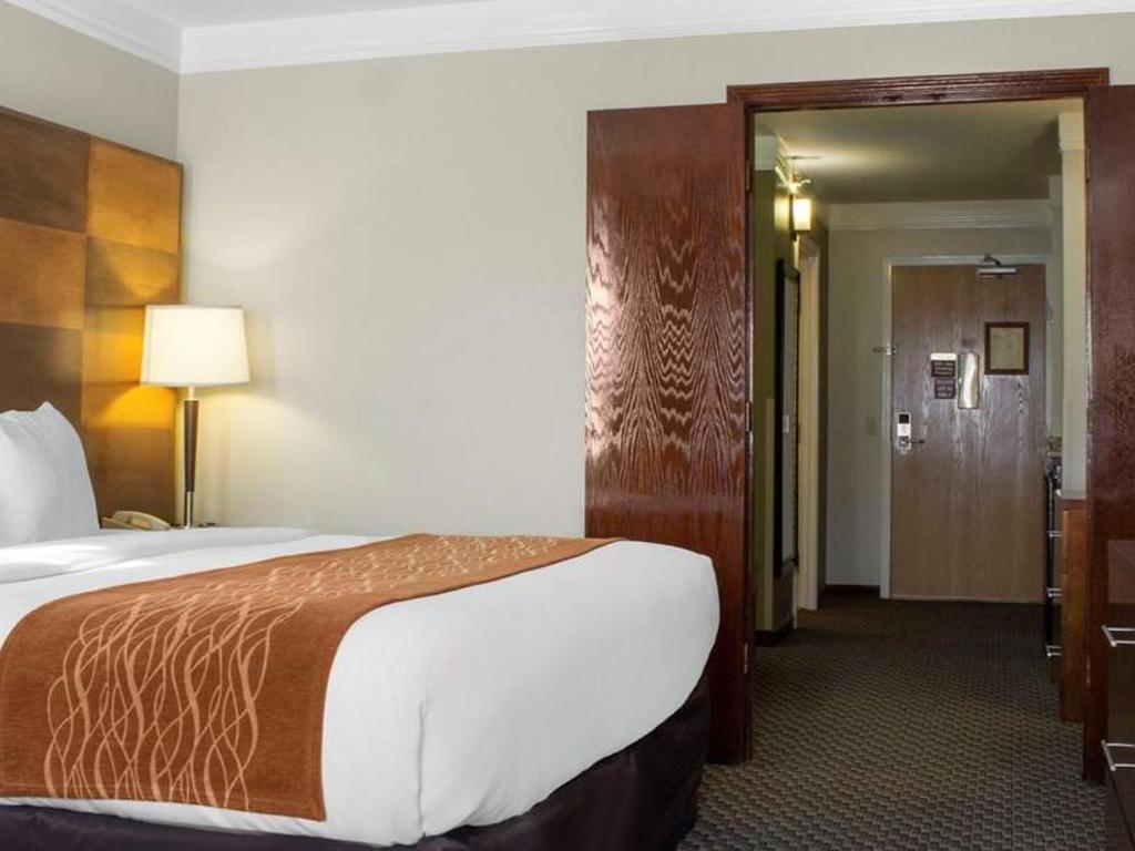 Comfort Inn Suites Durango Official Site Hotels In Durango