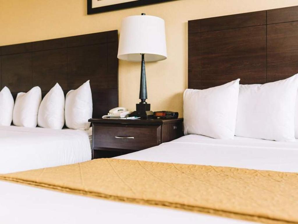 Quality Inn Suites Seattle Center Official Site Hotels