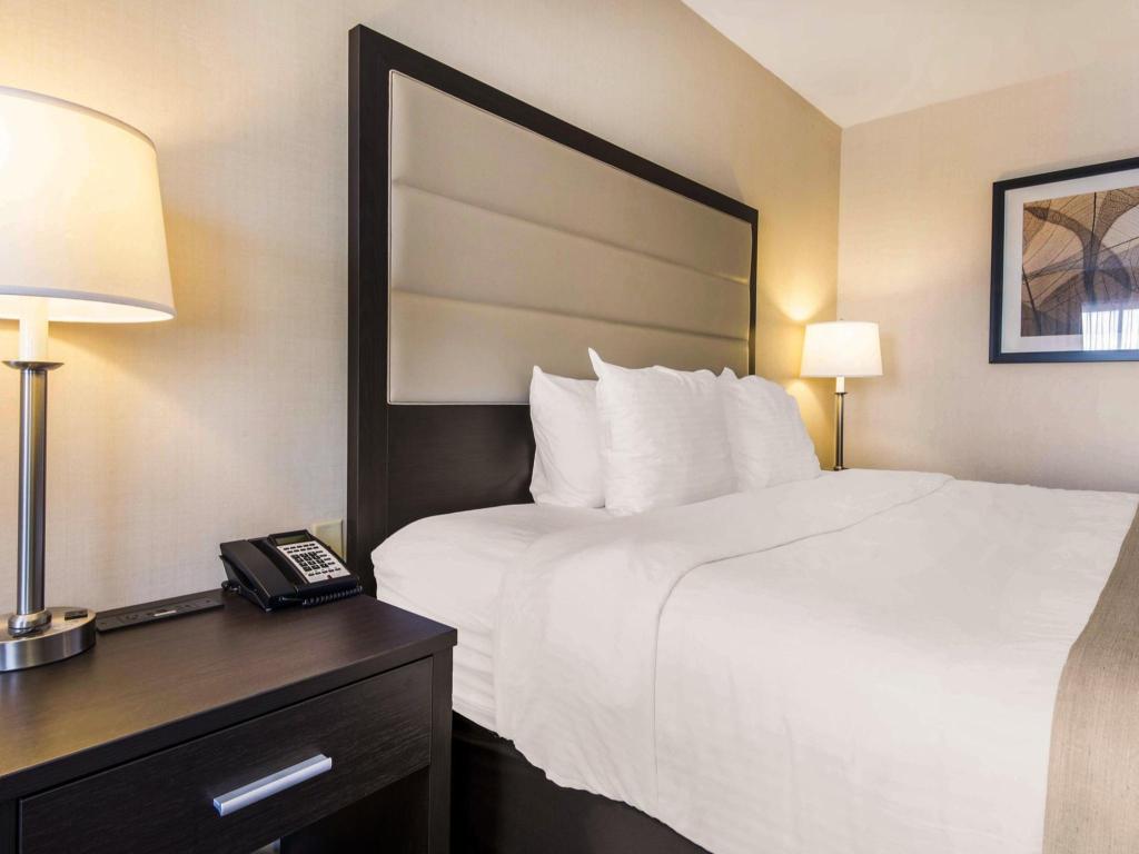 Quality Inn Airport West Official Site Hotels In Mississauga