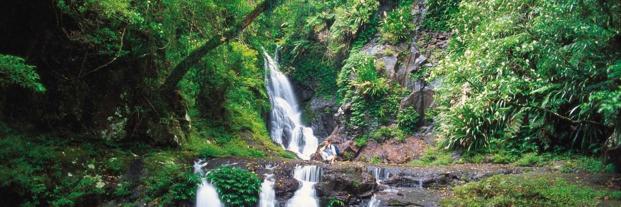 54c79460-7b4e-4ffd-a663-45d9277c37db