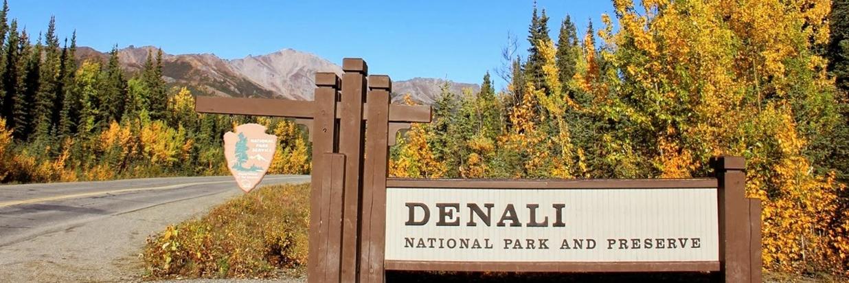 Denali National Park Tours Mckinley Creekside Cabins Cafe Alaska