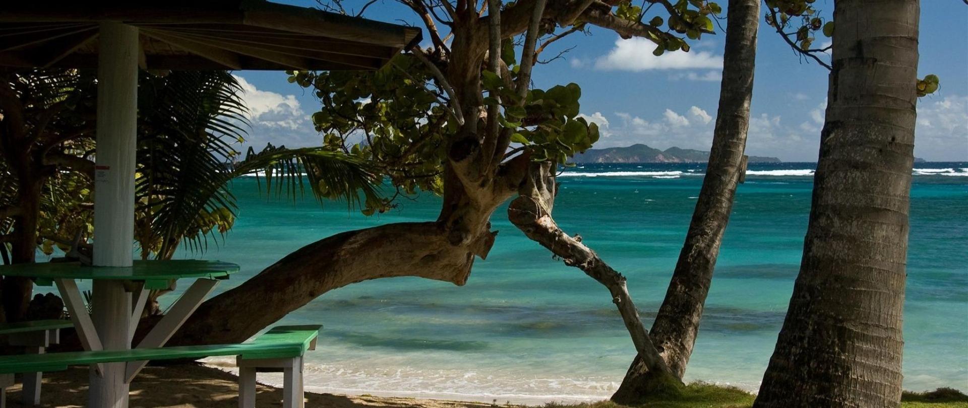 Sugar Reef Crescent Beach Saint Vincent and the Grenadines