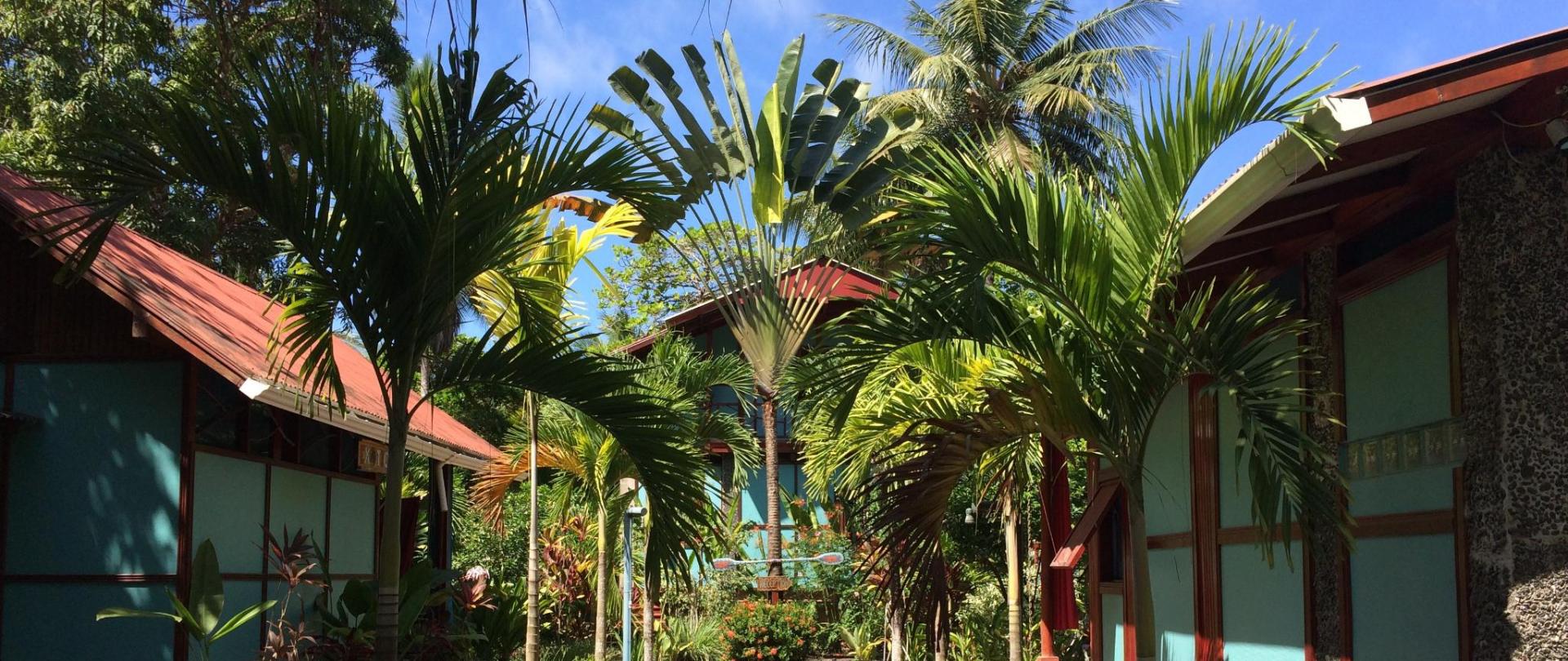 Cabinas Au Coeur Du Soleil Zancudo Costa Rica