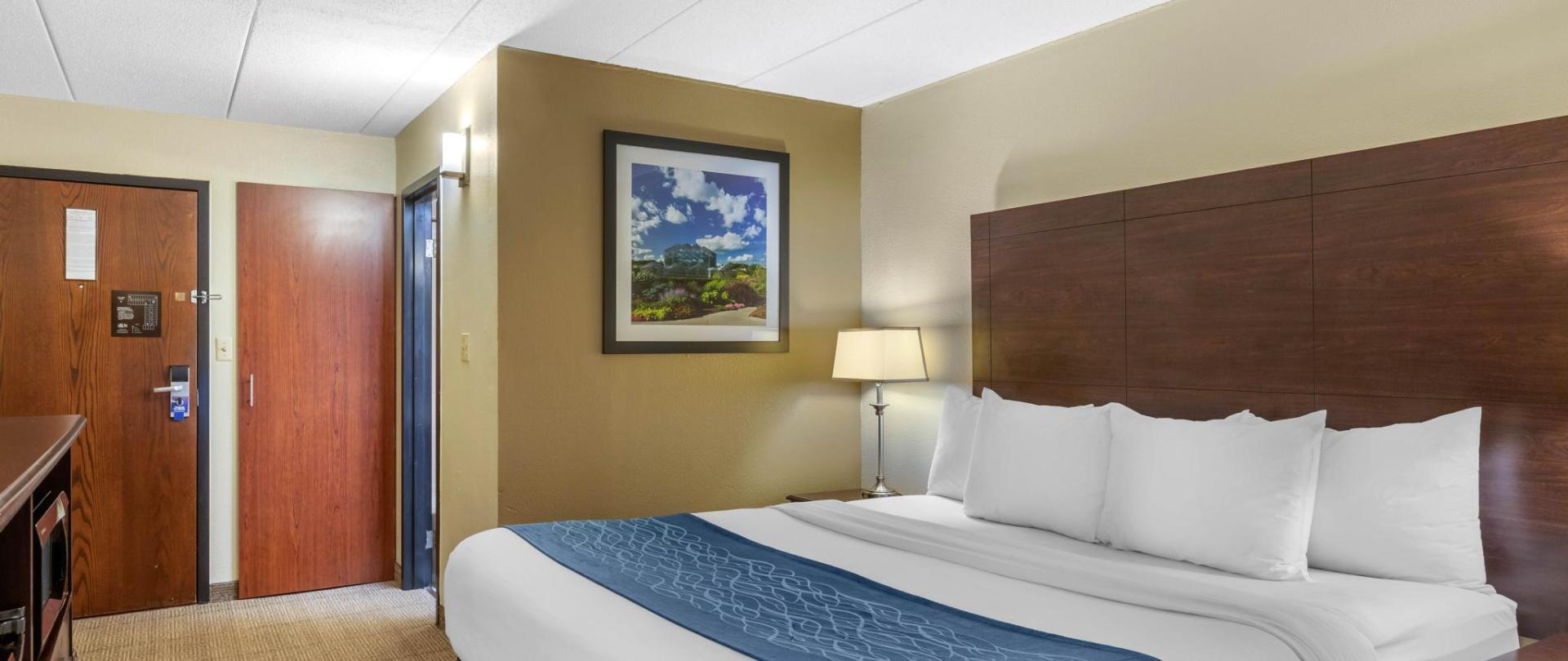 Comfort Inn Grand Rapids Grand Rapids United States