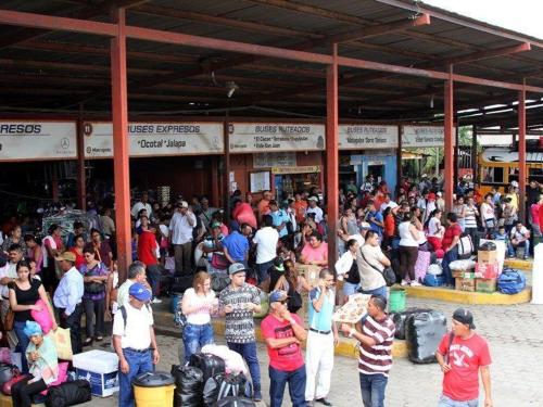 terminal-mayoreo-1.jpg