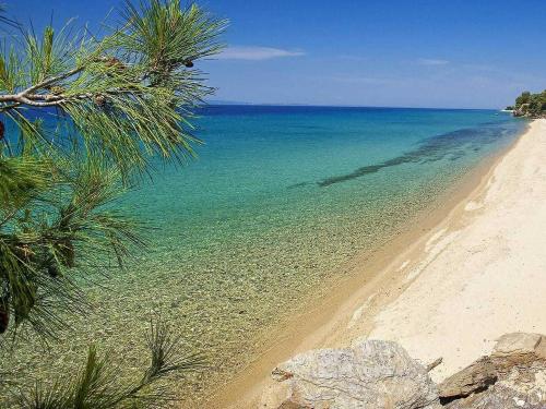 halkidiki-beach-1-1.jpg