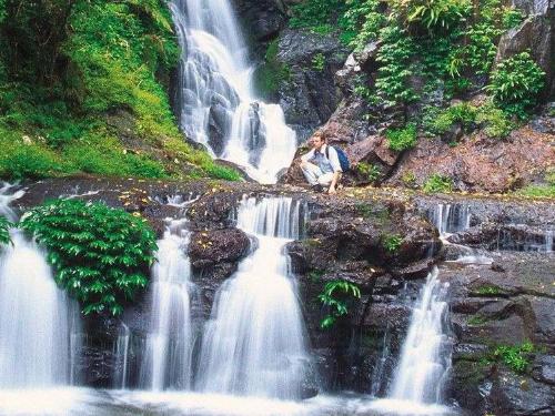 park_hero_0052_gc_lamington.jpg
