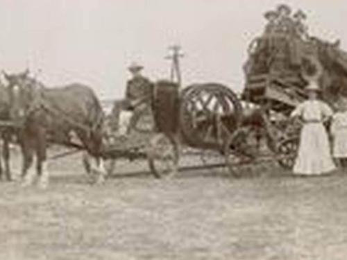 Farm History