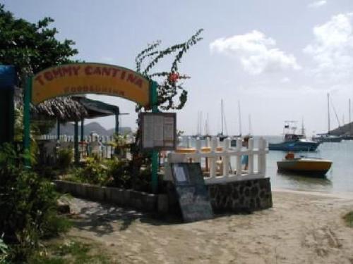Tours and Services