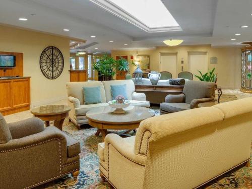 Hotel Amenities