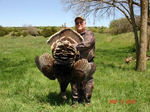 Turkey Hunts