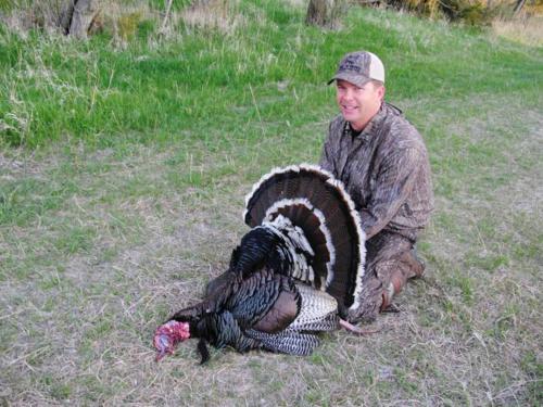Turkey Hunts