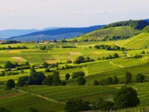 Landschaft und Natur