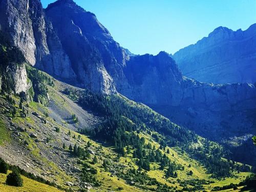 Discover the Surroundings