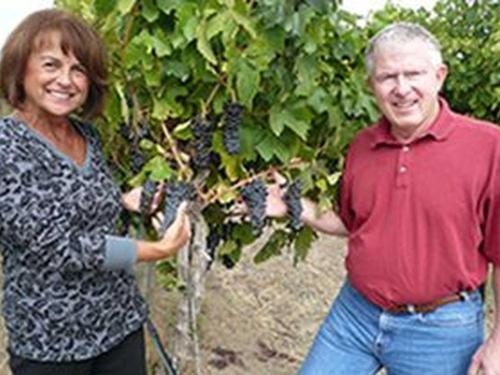 Leavenworth Wineries