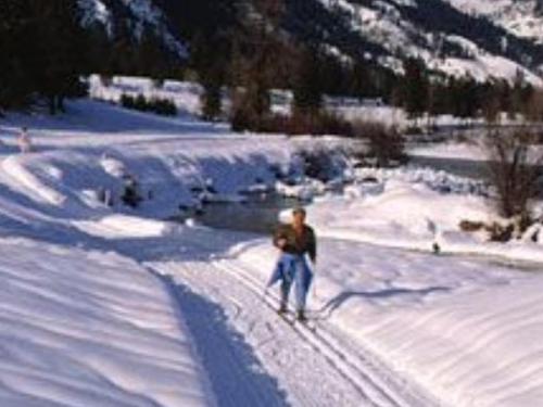 Winter Activities