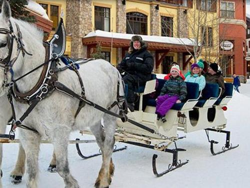 Winter Activities