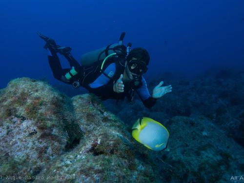 Diving