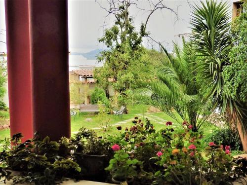 Patio en Sucre