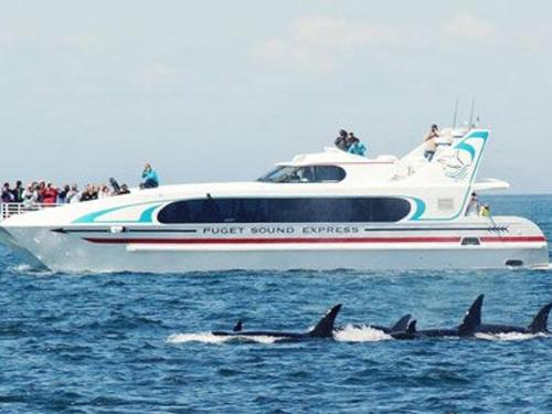 Puget Sound Express