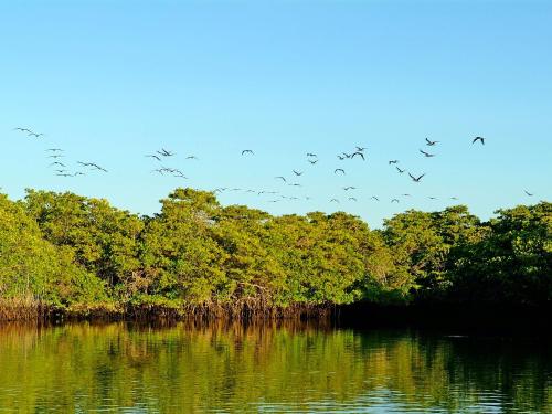Galapagos