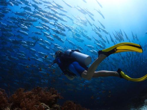 Diving