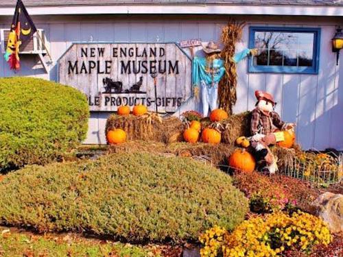 New England maple museum is decorated for the fall with pumpkins and scarecrows.