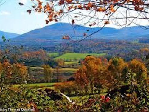 Fall colors are spread across the moutanins.