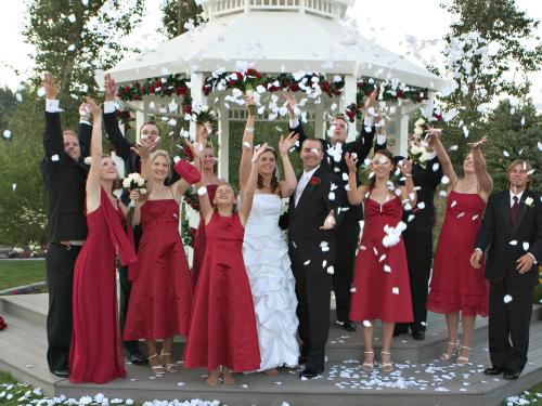 Dear Bride