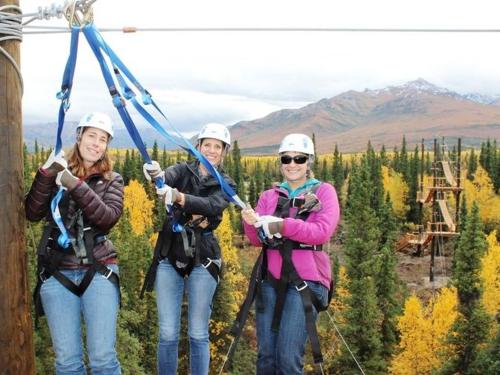 Zipline Tours