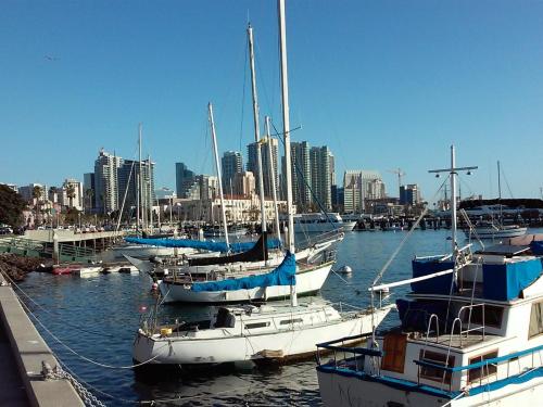 Go Sailing