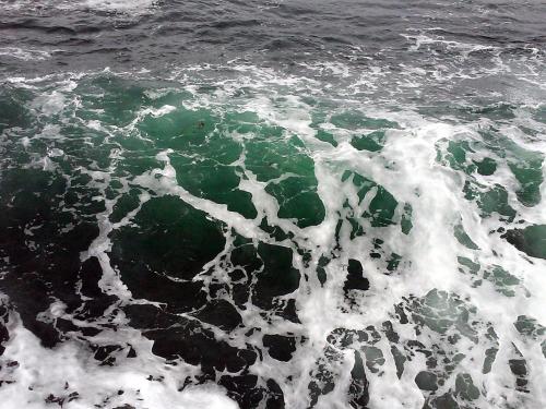 Go Sailing