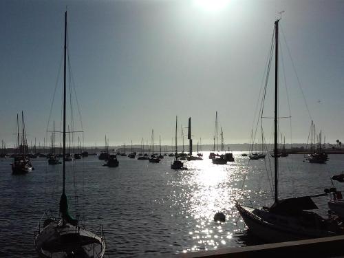 Go Sailing