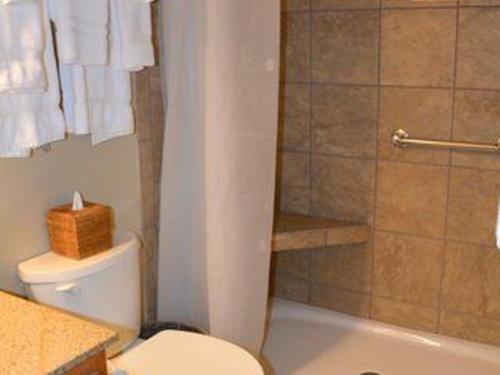 Renovation Report