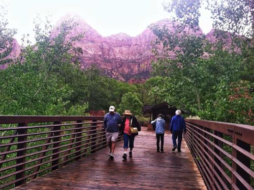 Zion's Emerald Pools