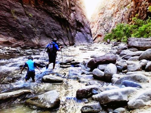 Zion's The Narrows