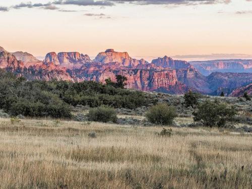 Kolob Mesa