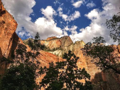 Zion's Riverwalk Narrows Hike