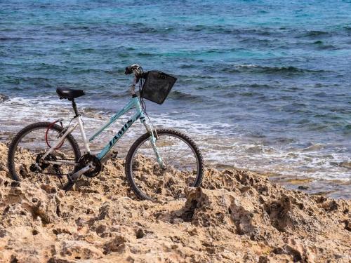 fahrrad01.jpg