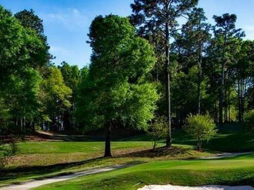 magnolia-campo da golf-mobile-Alabama-golf-163886-1.jpeg