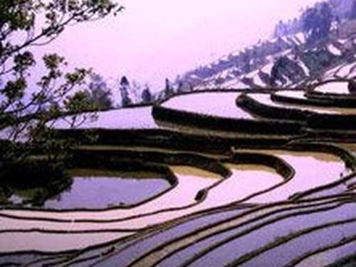 yangshuo-rice-terraces.jpg