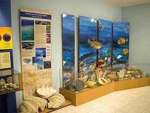 museo-naturale.jpg