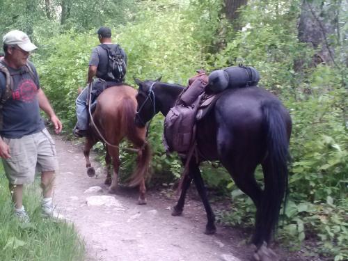 10 Ways to Enjoy Kootenai Creek