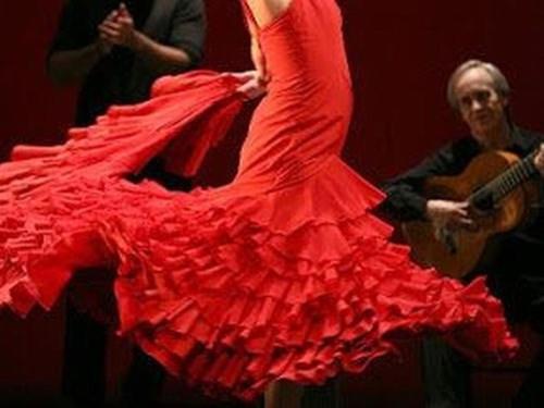 flamenco.jpg